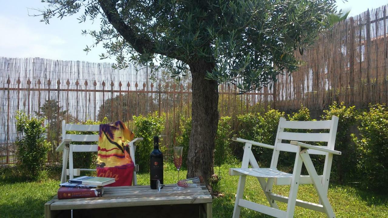 Etna Winery Apartment Zafferana Etnea Bagian luar foto